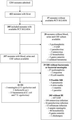 Procalcitonin at 12–36 hours of fever for prediction of invasive bacterial infections in hospitalized febrile neonates